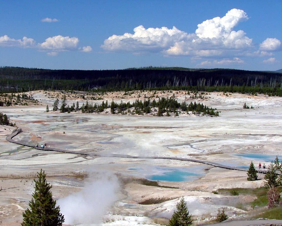 A scenic view of the Porcelain Basin in the Norris Geyser Basin area, the hottest geyser basin in the Yellowstone National Park. The milky color of the mineral deposited here inspired the naming of Porcelain Basin. The mineral, siliceous sinter, is brought to the surface by hot water and forms a "sheet" over this flat area as the water flows across the ground and the mineral settles out. (Photo by USA Patriotism!)