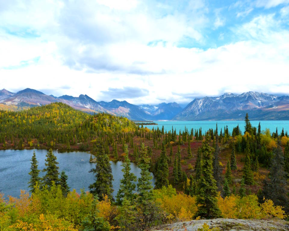 Alaskan autumn colors abound in a spectacular nature view of trees dressed in yellow, orange and green leaves above the crimson ground near the blue waters of Telaquana Lake with the Neacola Mountains in the background under cloudy skies in Lake Clark National Park and Preserve. (Image created by USA Patriotism! from U.S. National Park Service photo by J. Mills.)